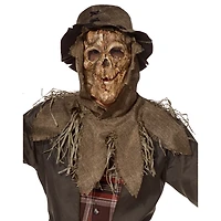 Adult Haunting Scarecrow Costume