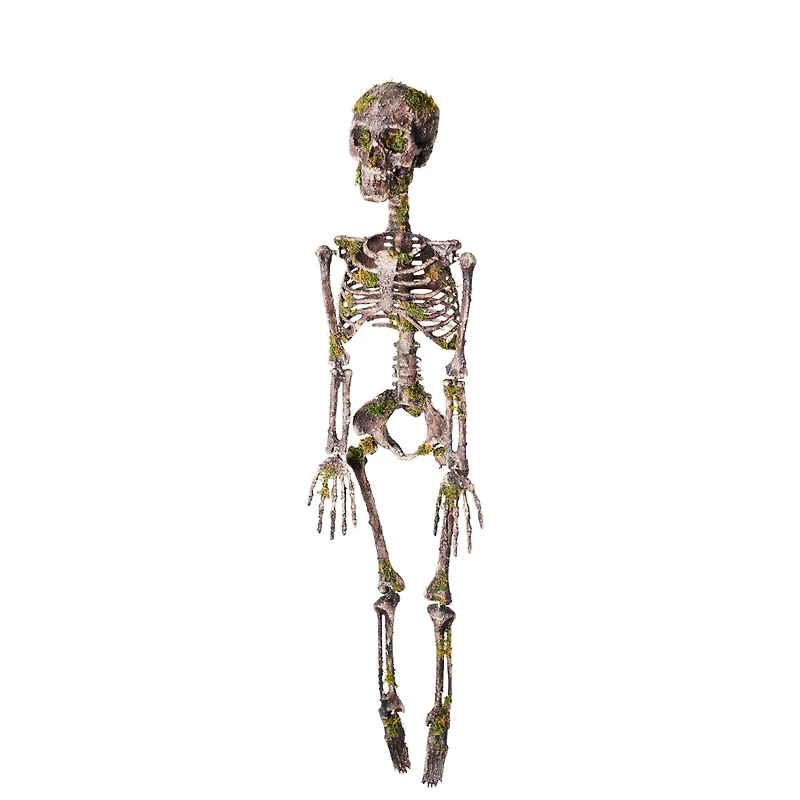Moss Skeleton