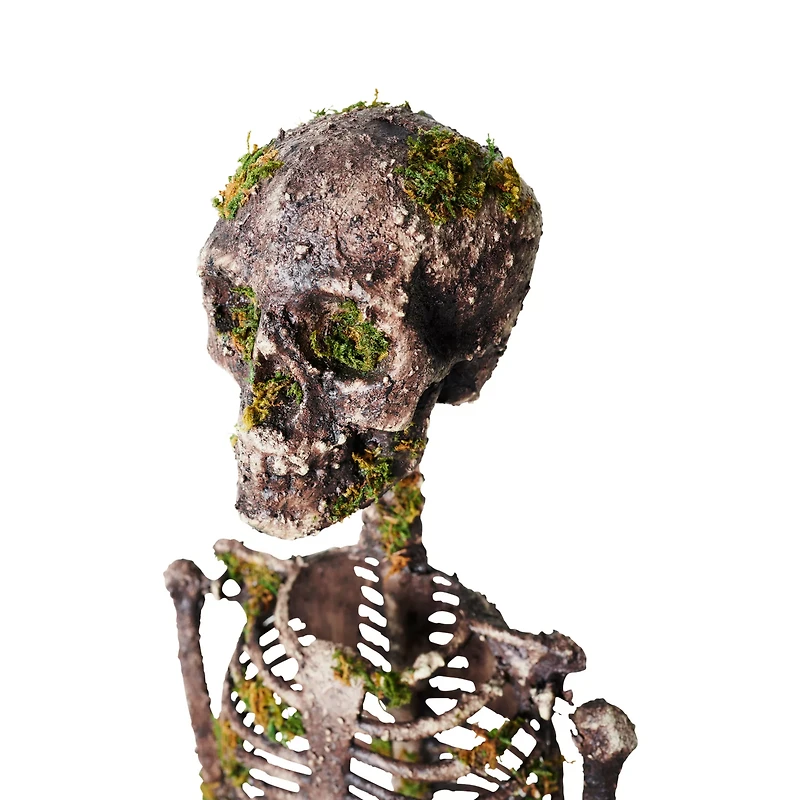 Moss Skeleton