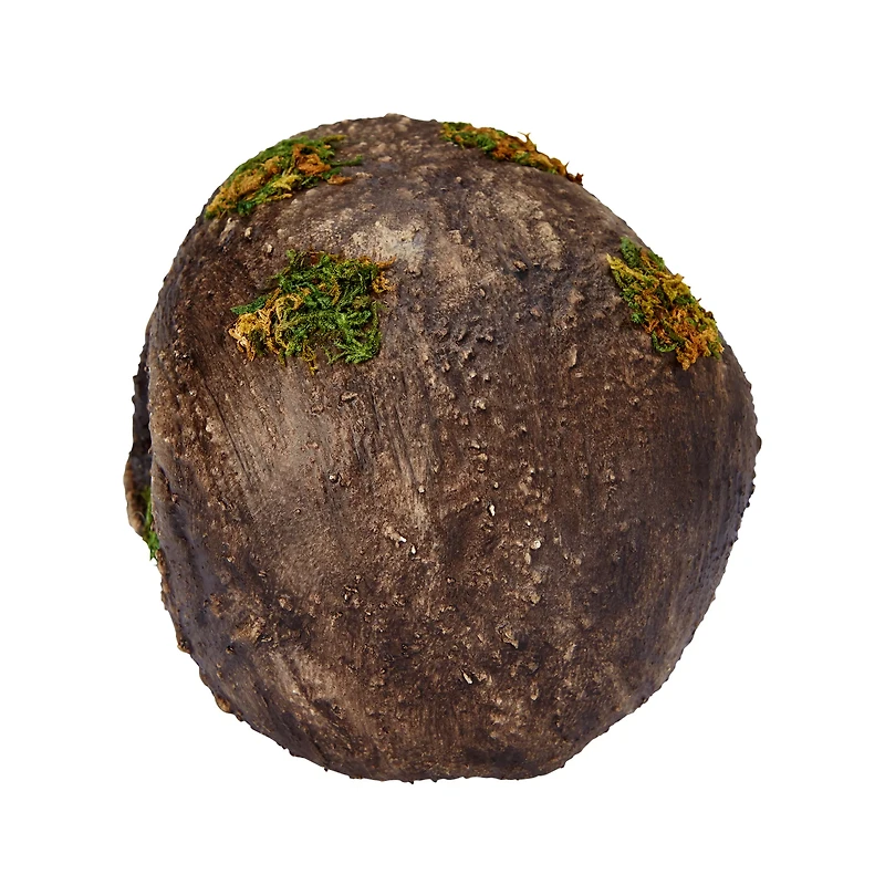Moss Skull