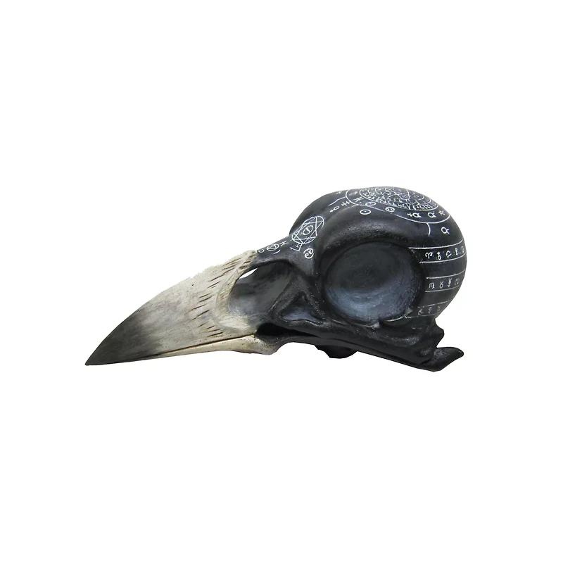 Mystical Arts Crow Skull