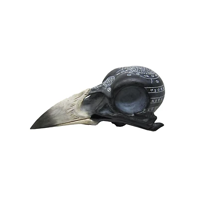 Mystical Arts Crow Skull