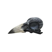Mystical Arts Crow Skull