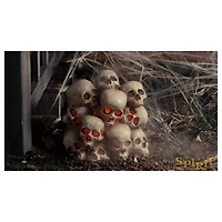 Fogging Skull Pile