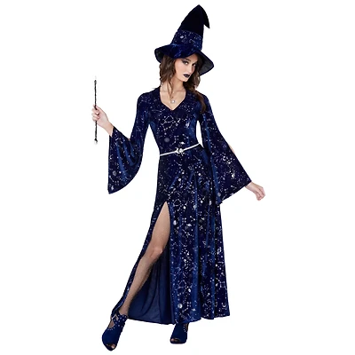 Adult Coven Witch Plus Costume