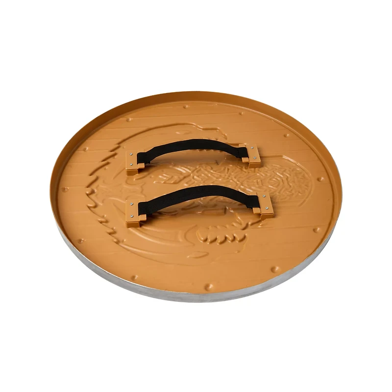 Viking Shield