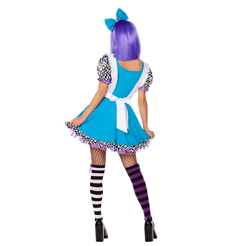Adult Alice Down the Rabbit Hole Costume