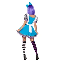 Adult Alice Down the Rabbit Hole Costume