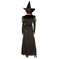 Adult Wicked Witch Costume - The Wizard of Oz