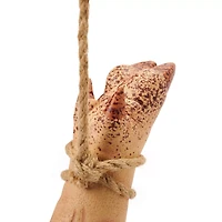 Hanging Pig Leg
