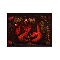 Step Pad Covers - 4 Pack