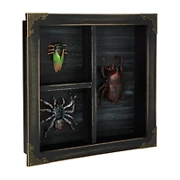 Mystical Arts Insect Sign