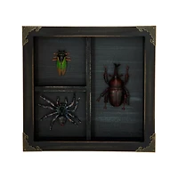 Mystical Arts Insect Sign