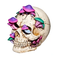Mystical Arts Mushroom Skull