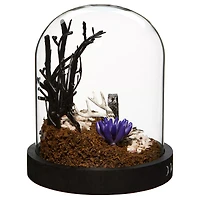Mystical Arts Graveyard Terrarium Decoration