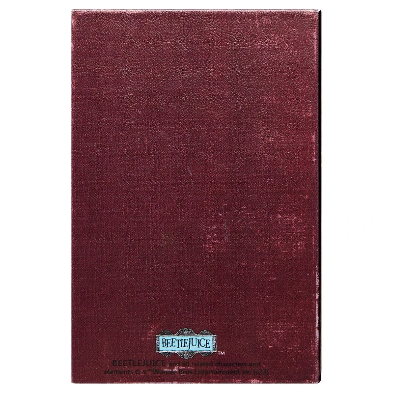 Handbook for The Recently Deceased Trinket Box - Beetlejuice