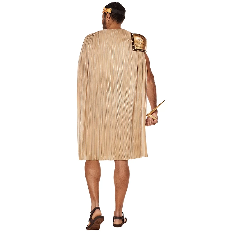 Adult Zeus Costume