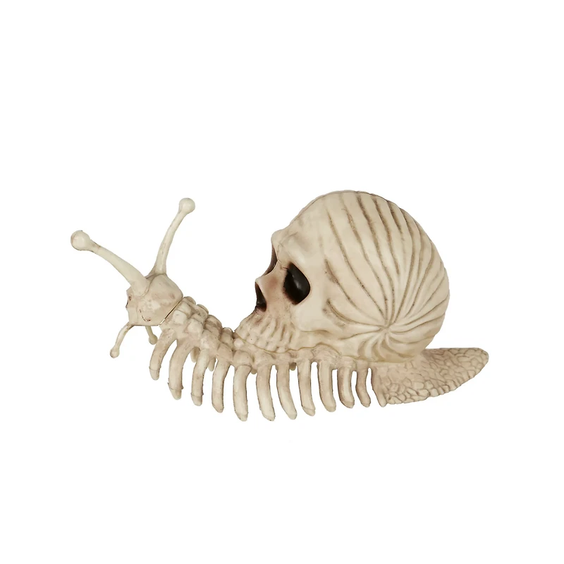Skeleton Skull Snail