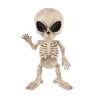 Skeleton Alien