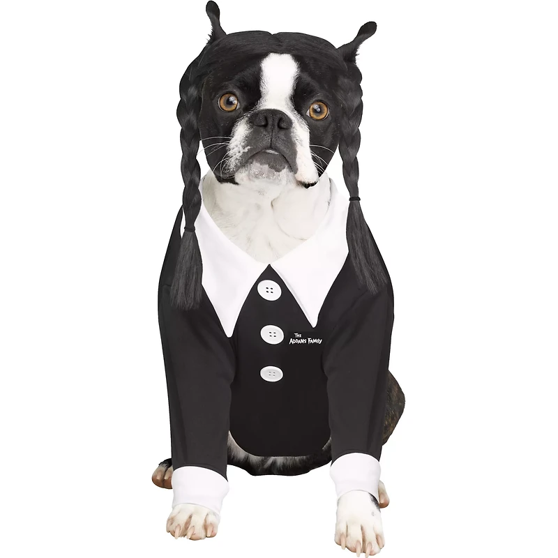 Wednesday Addams Pet Costume - The Family