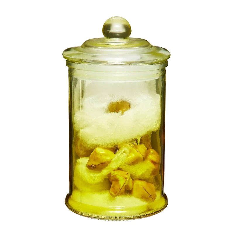 Gothic Noir Teeth Jar