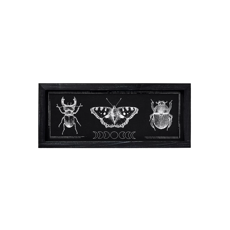 Insect Moon Phase Sign