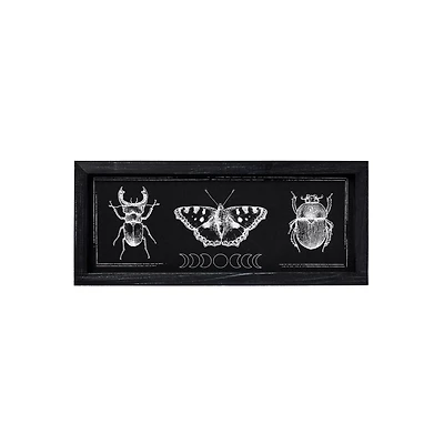 Insect Moon Phase Sign