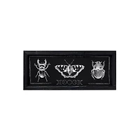 Insect Moon Phase Sign
