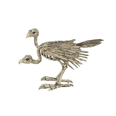 Two-Headed Vulture Skeleton