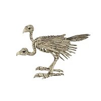 Two-Headed Vulture Skeleton