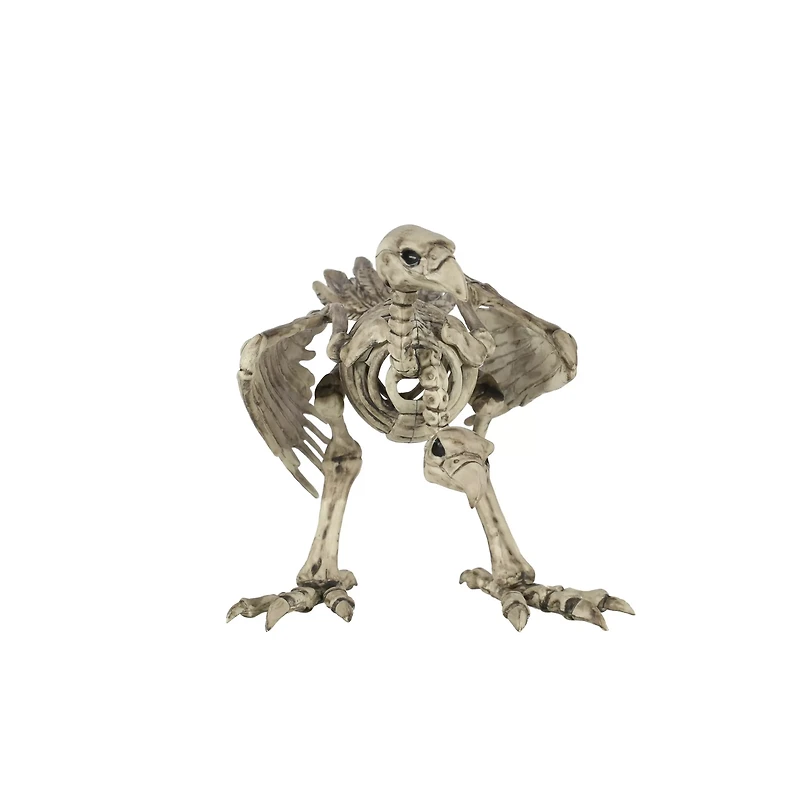 Two-Headed Vulture Skeleton