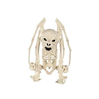 Gargoyle Skeleton