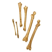 Decaying Bag of Bones Prop
