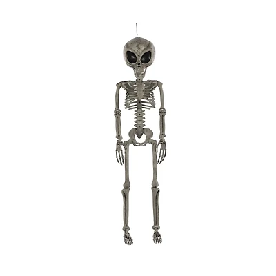 Alien Skeleton - 36 Inches