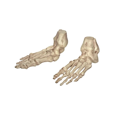 Skeleton Feet