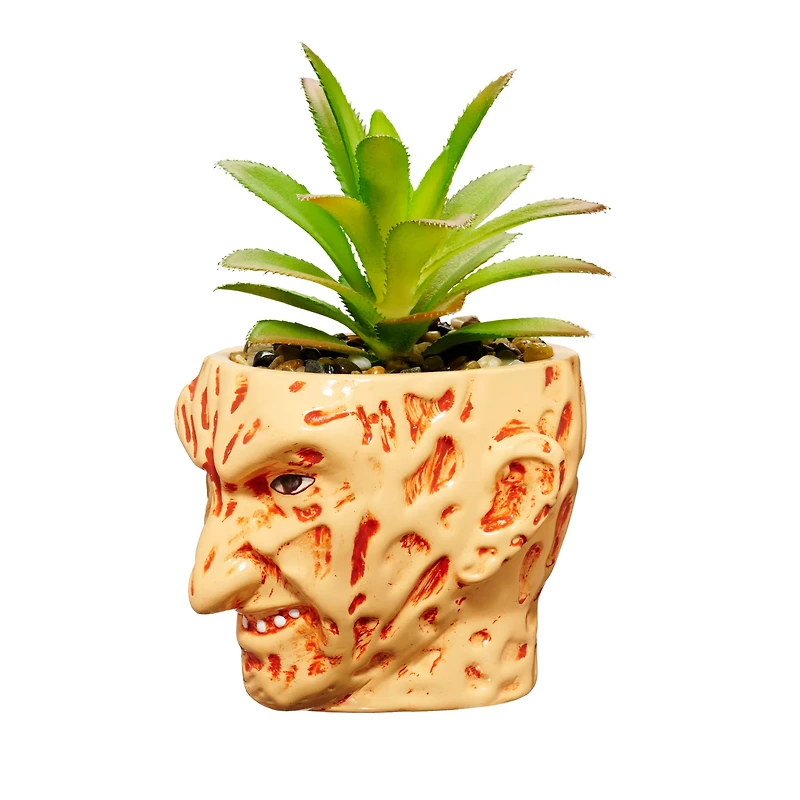 Freddy Krueger Succulent Planter - A Nightmare on Elm Street