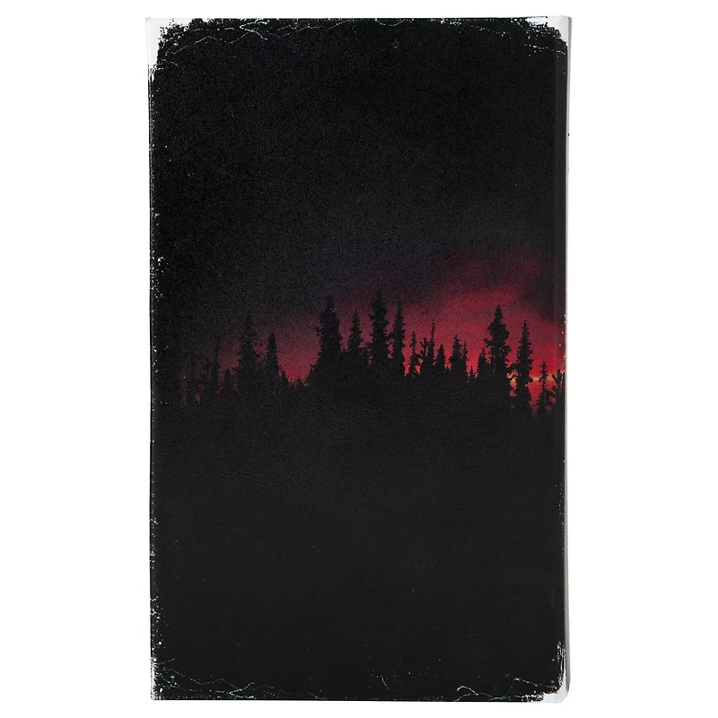 The Cabin Killer Book Box