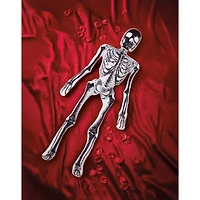 Spector Bones Comfy Curiosity