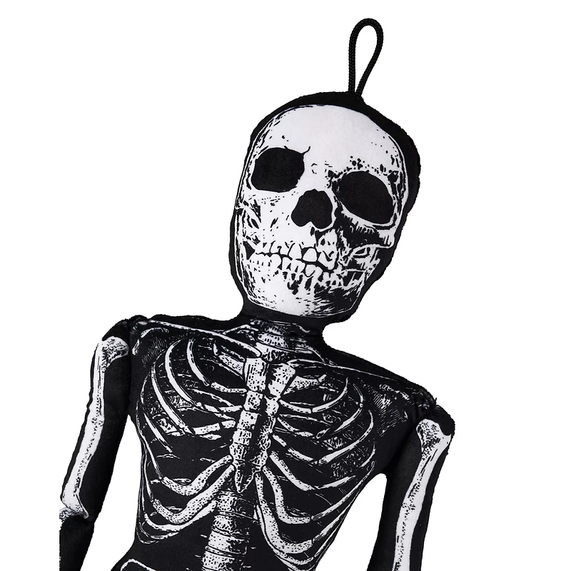 Mortimer Skelly Comfy Curiosity