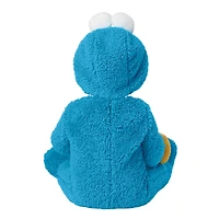 Baby Cookie Monster Costume - Sesame Street