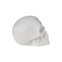 White Skull Tabletop Decoration