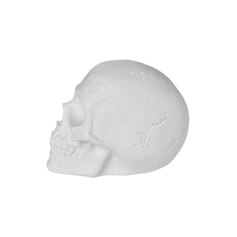 White Skull Tabletop Decoration
