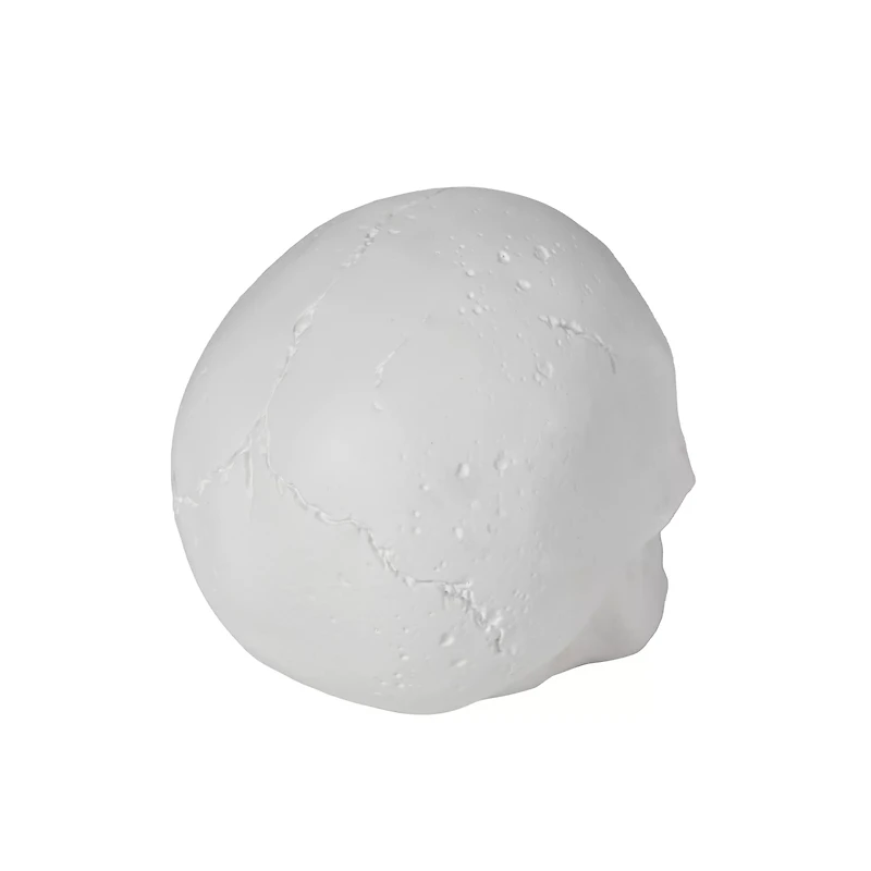 White Skull Tabletop Decoration