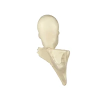 Skeleton Tree Mount Decoration