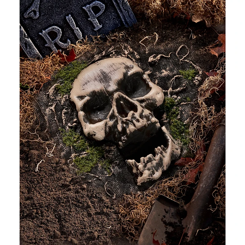 Skull Ground Covering Prop
