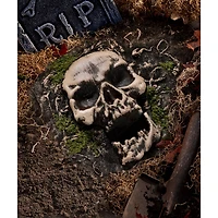 Skull Ground Covering Prop