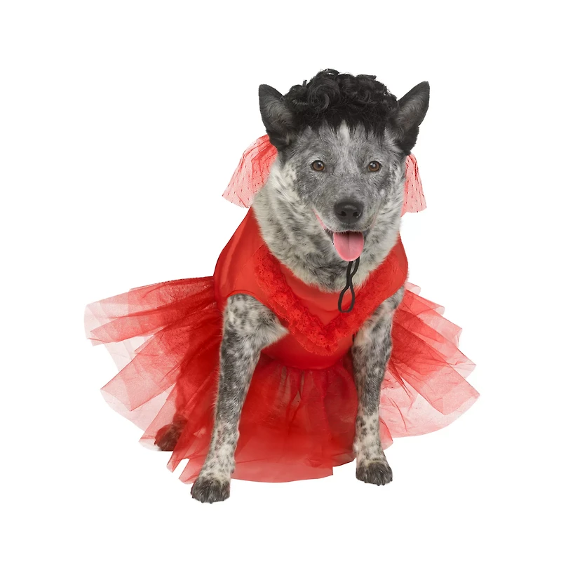 Lydia Deetz Pet Costume