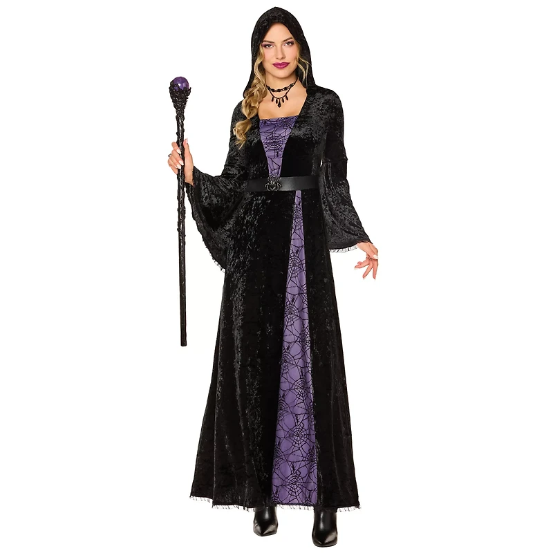 Adult Spider Sorceress Costume