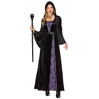 Adult Spider Sorceress Costume