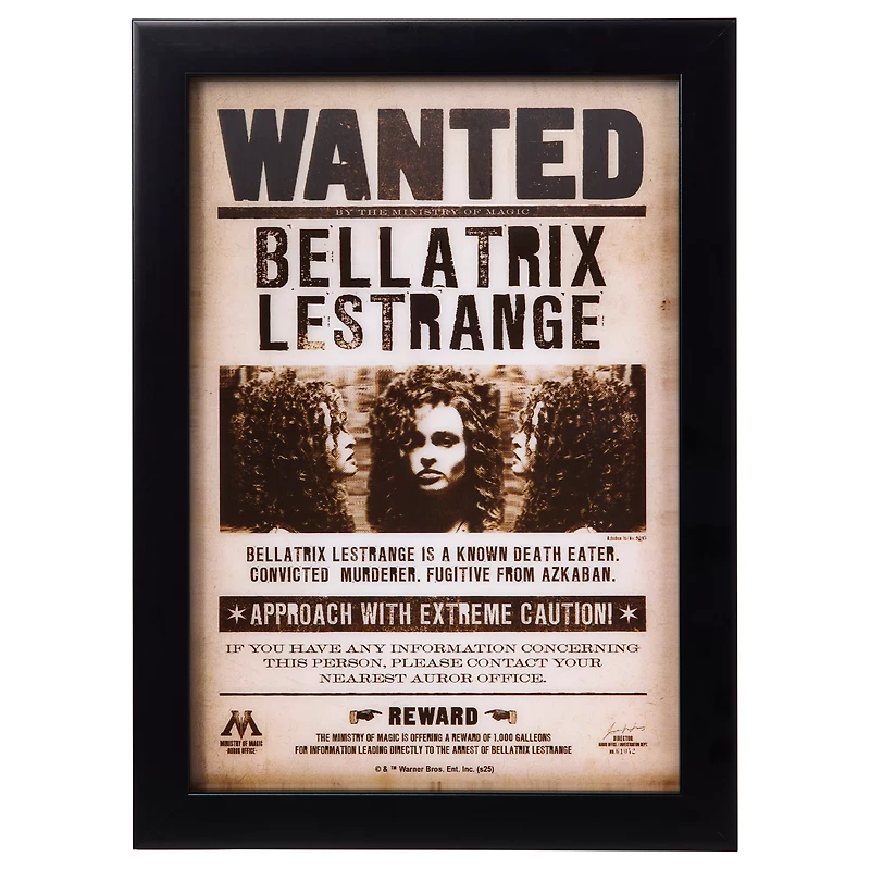 Bellatrix Lestrange Mugshot Sign - Harry Potter